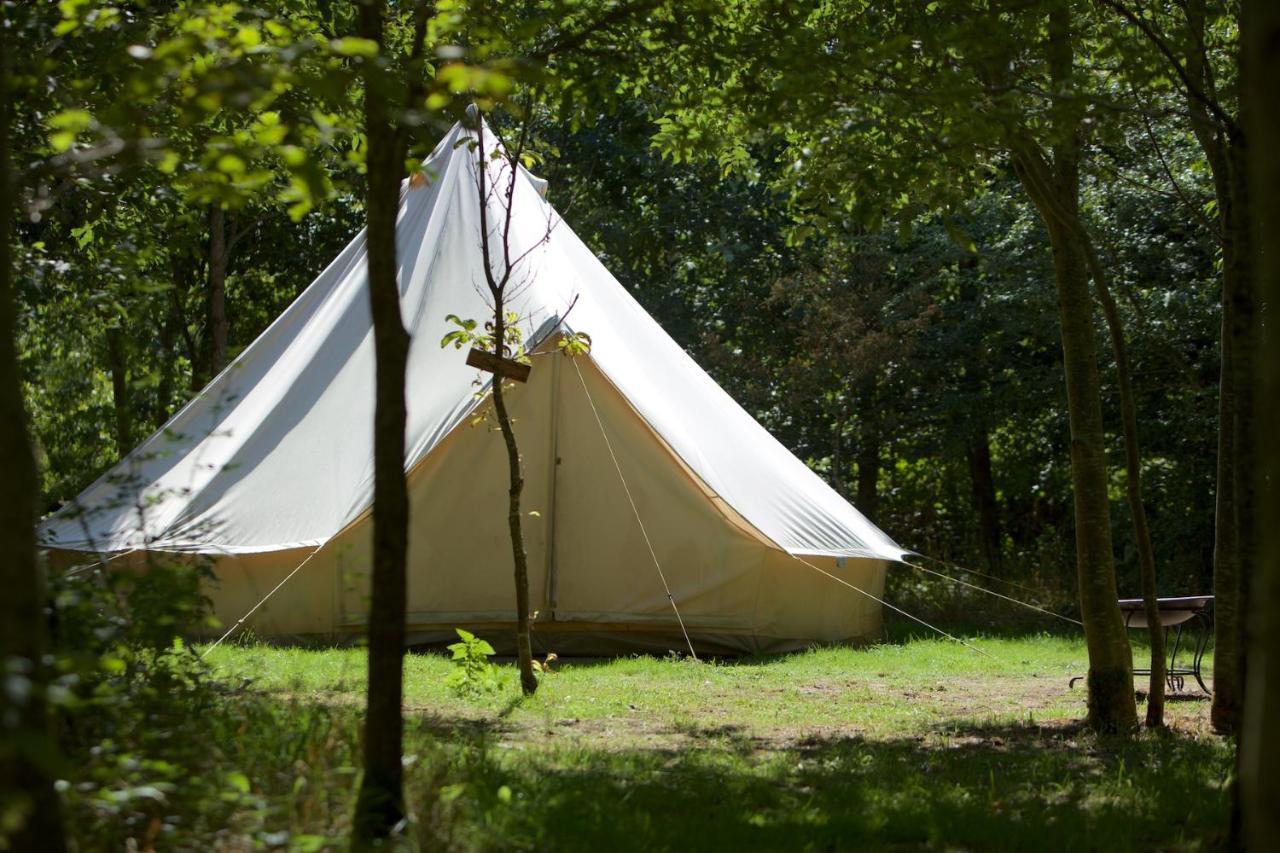 Hotel Dgg Woodland Escape South Barrow Exterior foto