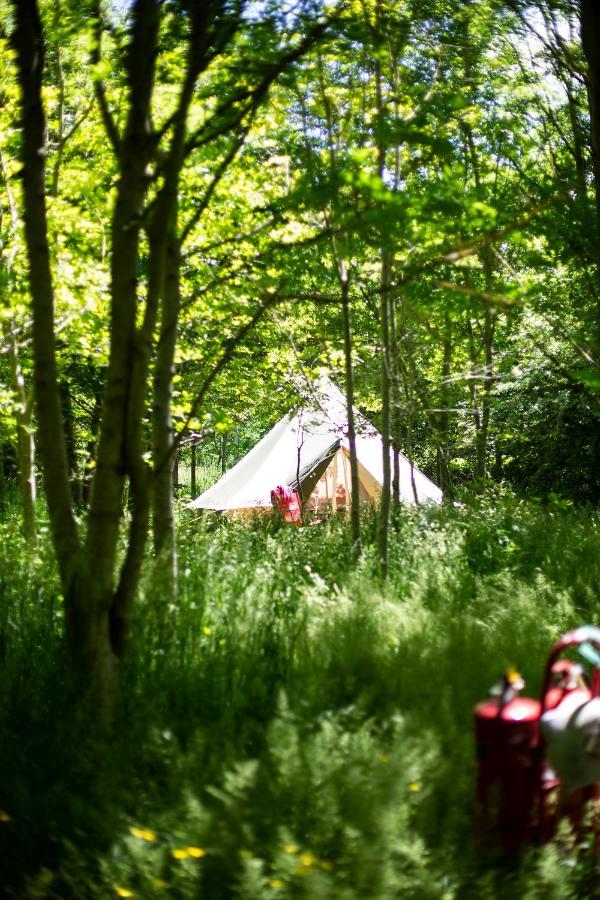 Hotel Dgg Woodland Escape South Barrow Exterior foto