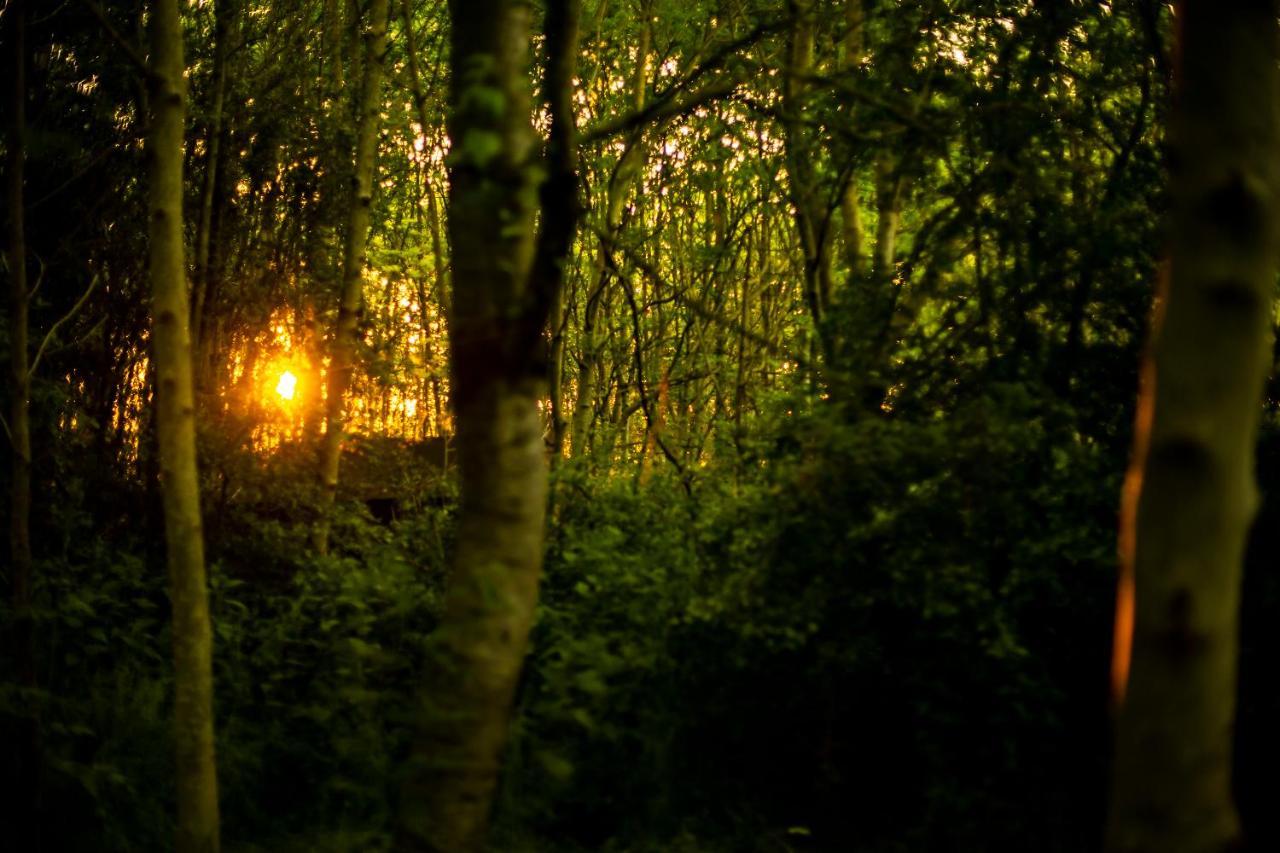 Hotel Dgg Woodland Escape South Barrow Exterior foto